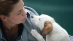 Smiling Woman kissing Dog